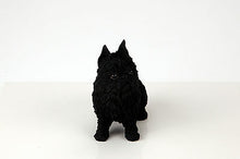 Load image into Gallery viewer, Brussels Griffon Pet Funeral Cremation Urn Available in 3 Diff Colors & 4 Sizes