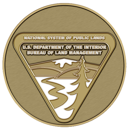 Bureau of Land Mgmt. Medallion for Box Cremation Urn/Flag Case - 4 Inch Diameter