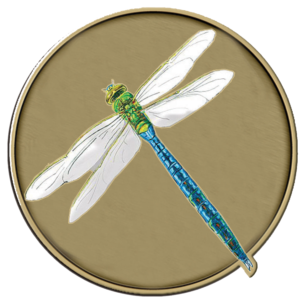 Dragonfly Medallion for Box Cremation Urn/Flag Case - 2 Inch Diameter