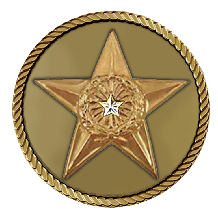 Silver Star Plain Medallion for Box Cremation Urn/Flag Case - 3 Inch Diameter