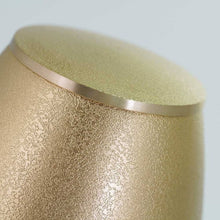 Load image into Gallery viewer, At Peace Memorials Arabella Urn Textured Bronze Large/Adult
