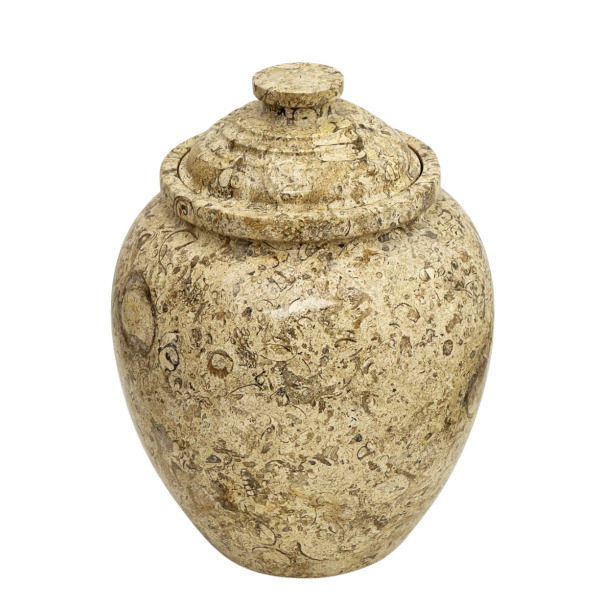 Large/Adult 220 Cubic Inches Fossil Stone Funeral Cremation Urn for Ashes