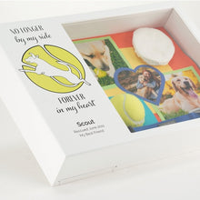 Load image into Gallery viewer, At Peace Memorials Shadowbox Remembrance Forever Tennis Ball
