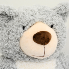 Load image into Gallery viewer, Small/Keepsake 2 Cubic Inches Loving Teddy Bear Gray Funeral Cremation Urn for Ashes

