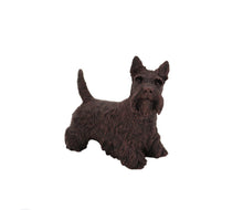 Load image into Gallery viewer, Bronze Scottish Terrier Pet Cremation Urn in 5 Diff Walnut Base Sizes
