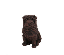 Load image into Gallery viewer, Bronze Shar Pei Pet Cremation Urn in 5 Diff Walnut Base Sizes
