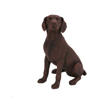 Load image into Gallery viewer, Bronze Weimaraner Pet Cremation Urn in 5 Diff Walnut Base Sizes
