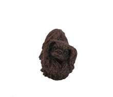 Load image into Gallery viewer, Bronze Pekingese Pet Cremation Urn in 5 Diff Walnut Base Sizes
