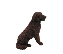 Load image into Gallery viewer, Bronze Long-Hair Labrador Pet Cremation Urn w/ Figurine in 5 Diff Walnut Base Sizes
