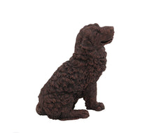 Load image into Gallery viewer, Bronze Newfoundland Pet Cremation Urn w/ Figurine in 5 Diff Walnut Base Sizes
