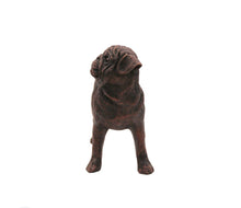 Load image into Gallery viewer, Bronze Pug Pet Cremation Urn in 5 Diff Walnut Base Sizes
