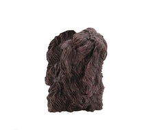 Load image into Gallery viewer, Bronze Shih Tzu Pet Cremation Urn in 5 Diff Walnut Base Sizes

