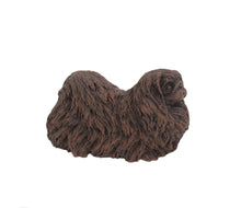 Load image into Gallery viewer, Bronze Pekingese Pet Cremation Urn in 5 Diff Walnut Base Sizes
