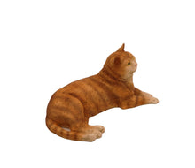 Load image into Gallery viewer, Orange Tabby Cat Pet Cremation Urn in 5 Diff Walnut Base Sizes
