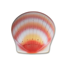 Load image into Gallery viewer, Biodegradable Coral Seashell Adult/Companion Funeral Cremation Urn, 400 Cubic Inches
