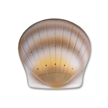 Load image into Gallery viewer, Biodegradable Pearl Seashell Adult/Companion Funeral Cremation Urn, 400 Cubic Inches
