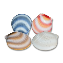 Load image into Gallery viewer, Biodegradable Coral Seashell Adult/Companion Funeral Cremation Urn, 400 Cubic Inches
