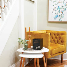 Load image into Gallery viewer, At Peace Memorials Monumental Memorials Pet Paws Pearl Inlay Black, Medium Urn
