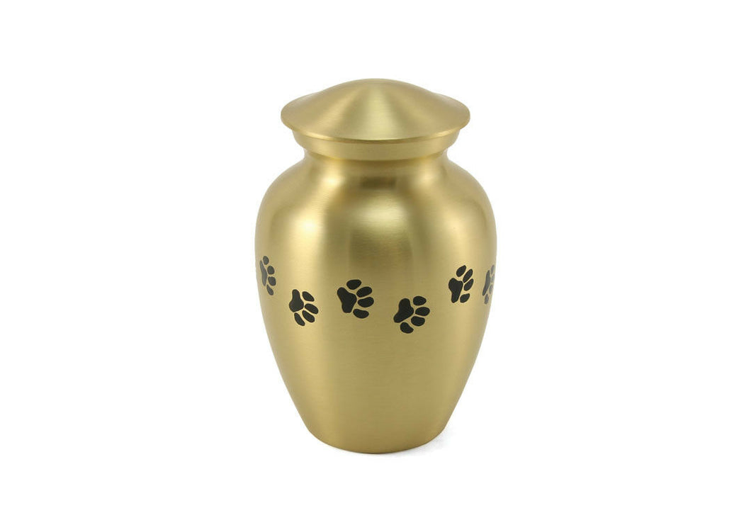 Small/keepsake Gold Brass Paw Print Cremation Urn, 25 cubic inches