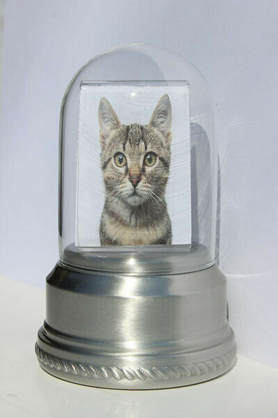 Small/Keepsake 18 Cubic Inch Pewter Iris Pet Funeral Cremation Urn for Ashes