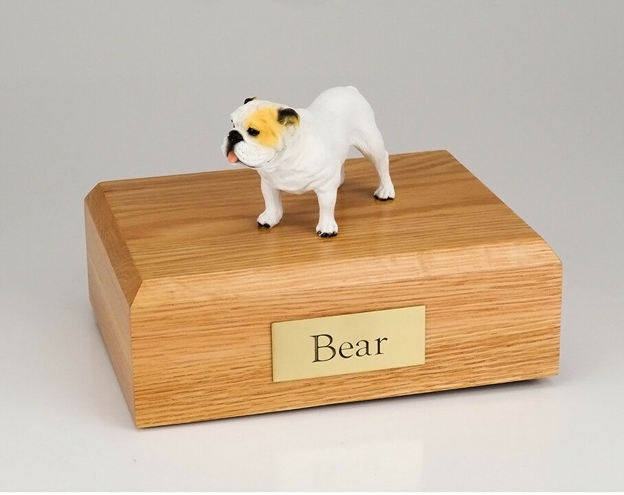 Bulldog, White Pet Funeral Cremation Urn Avail in 3 Different Colors  4 Sizes