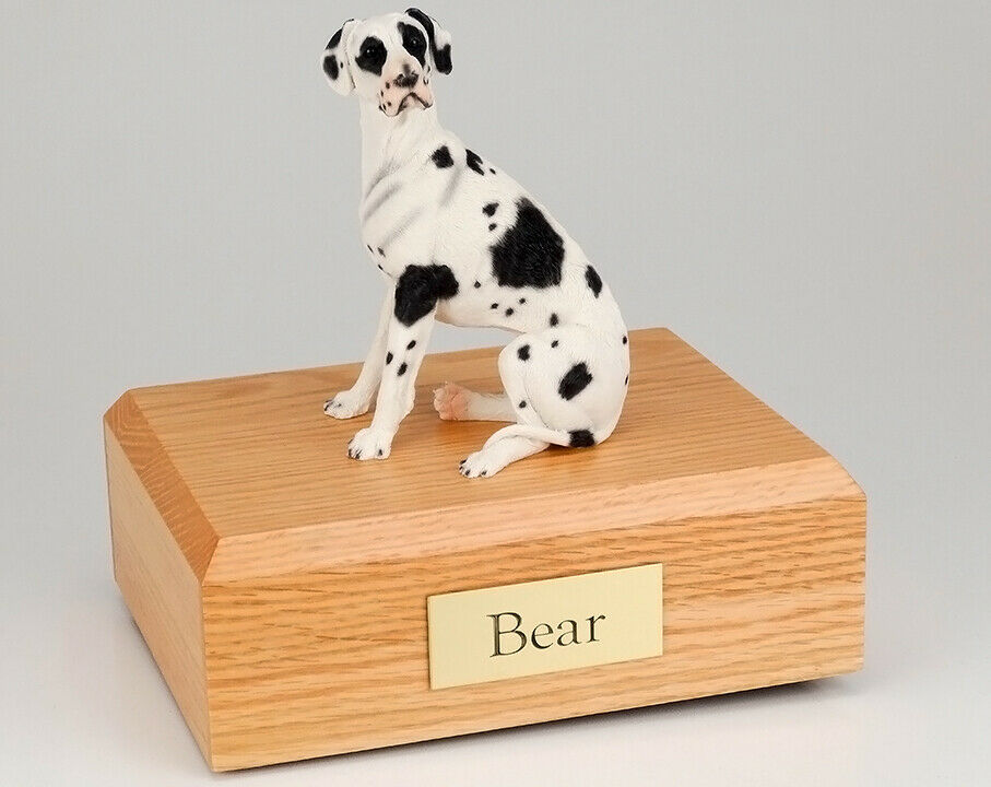 Great Dane Harlequin Ears Down Pet Cremation Urn Avail in 3 Diff Colors 4 Sizes