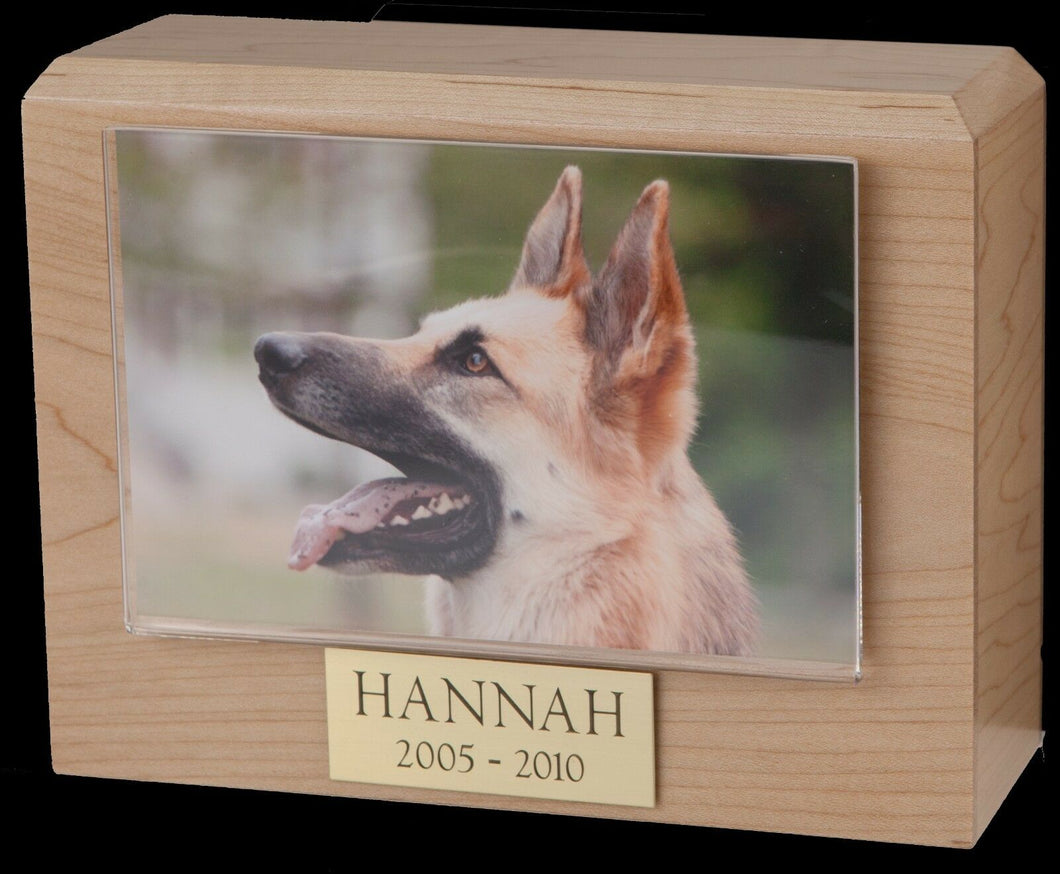Large 115 Cubic Inches Maple Pet Photo Urn for Ashes with Engravable Nameplate