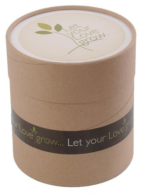 Small/Keepsake 20 Cubic Inch Biodegradable Funeral Cremation Urn Planting Kit