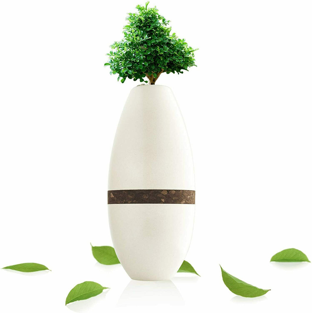 Biotree Planter Cremation Urn Natural Bamboo & Plant Fiber Holds 90 Cubic Inches