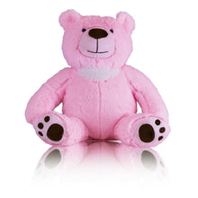 Load image into Gallery viewer, Small/Keepsake 2 Cubic Inches Pink Teddy Bear Funeral Cremation Urn for Ashes

