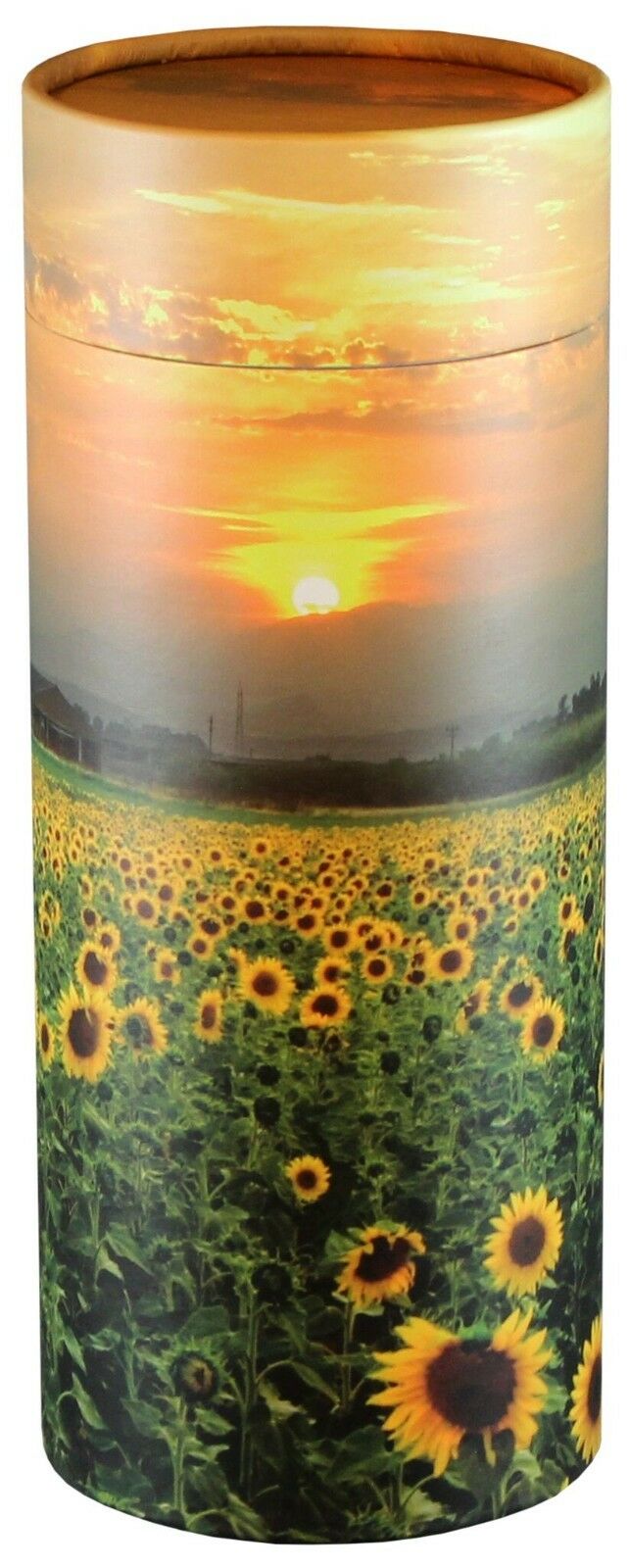 Biodegradable Ash Scattering Tube Cremation Urn Adult- CAN Be Personalized