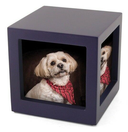 Small/Keepsake Violet Photo Cube Funeral Cremation Urn, 45 Cubic Inches