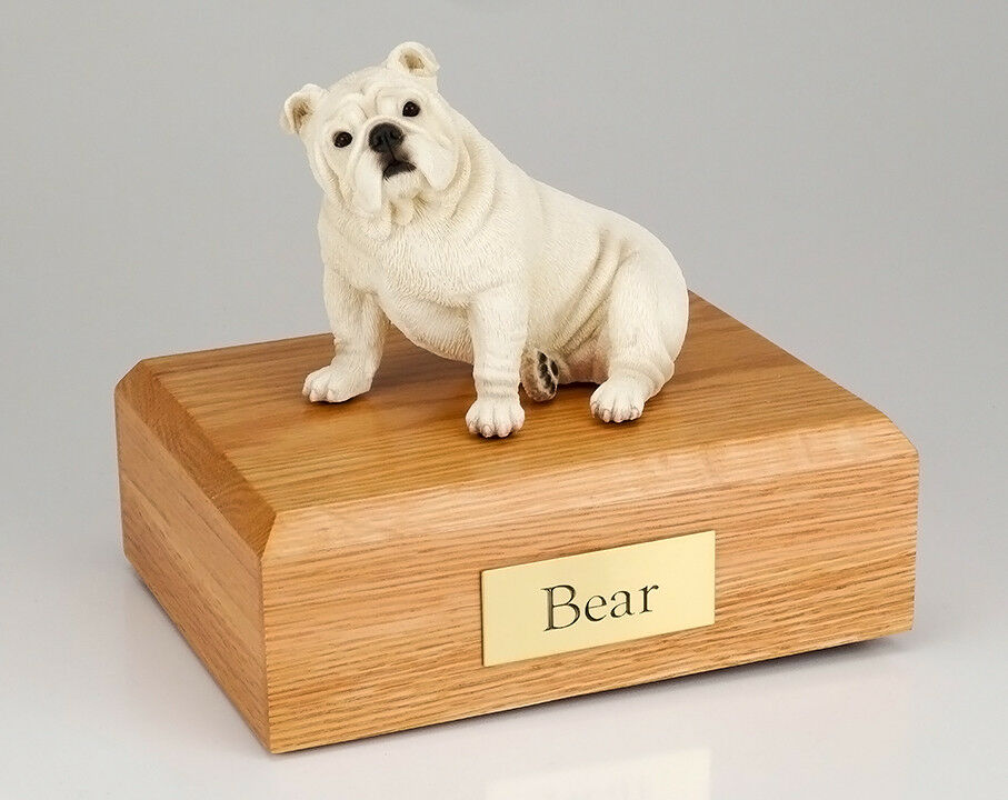Bulldog, White Pet Funeral Cremation Urn Avail in 3 Different Colors & 4 Sizes