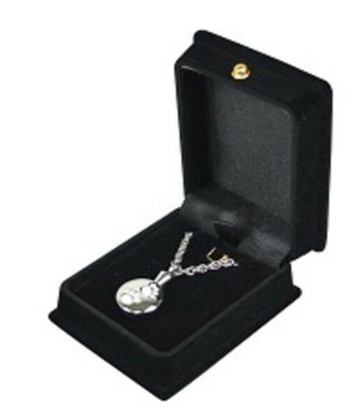 Dual Silver Paw Prints Pendant Urn w/20