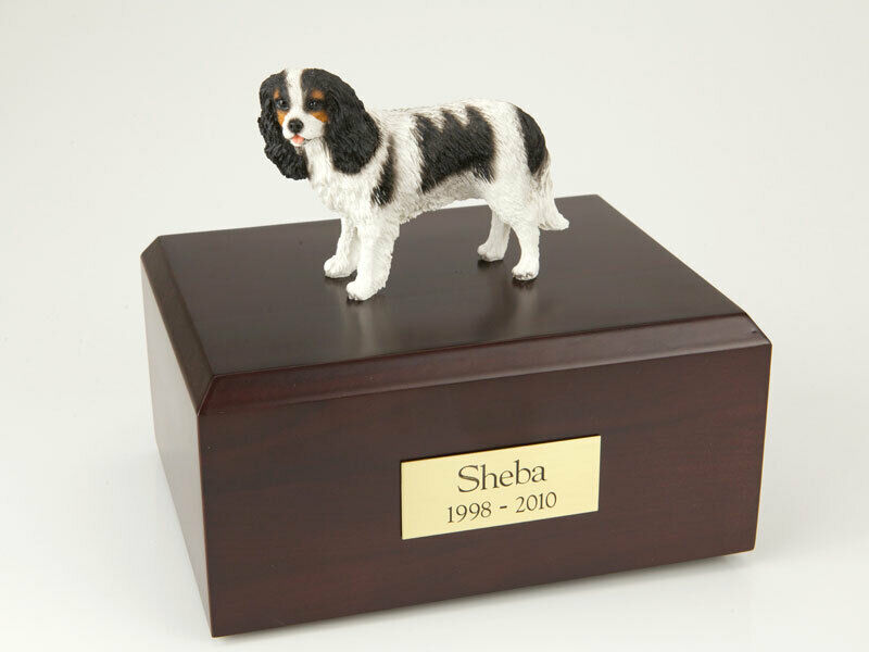 King Charles Spaniel, Black Pet Cremation Urn Available 3 Diff. Colors & 4 Sizes