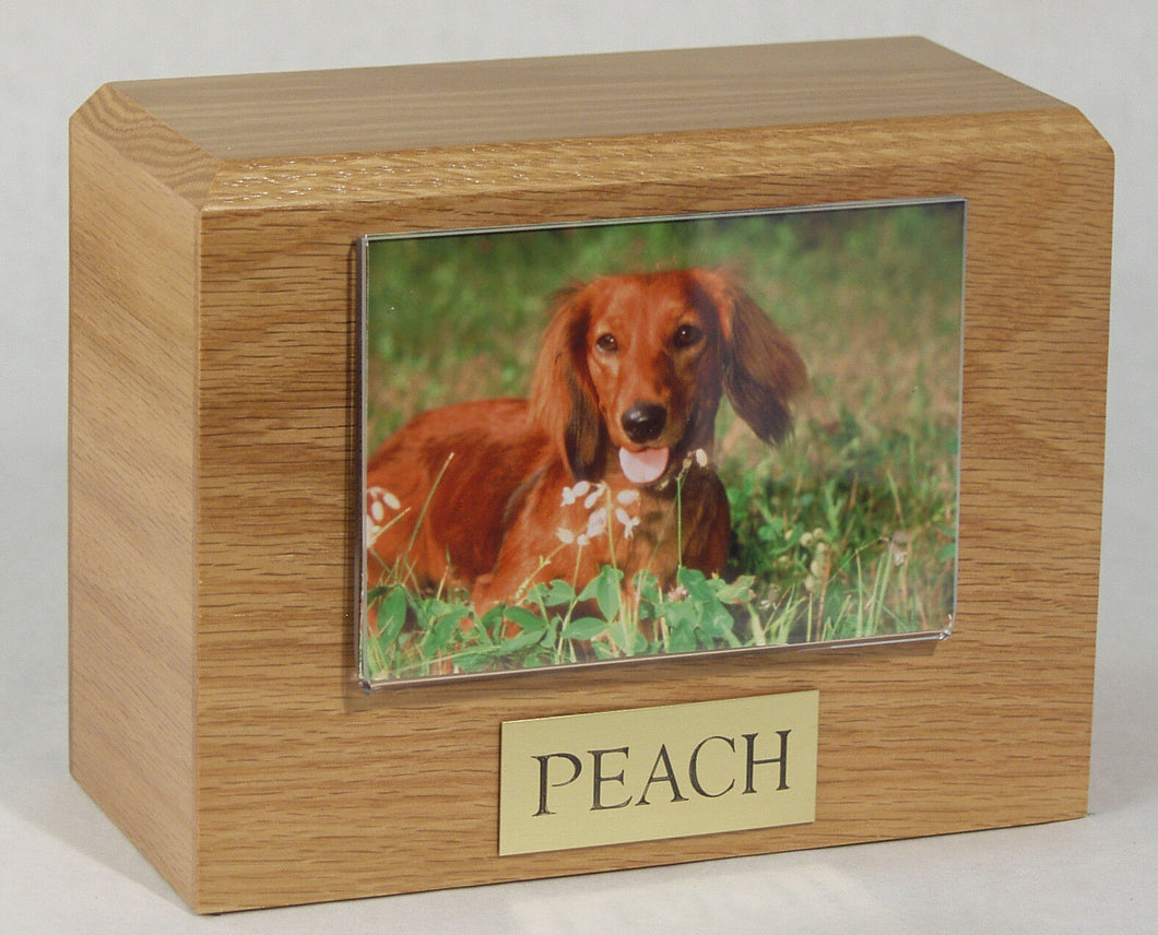 Small 55 Cubic Inches Oak Pet Photo Urn for Ashes with Engravable Nameplate