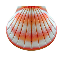 Load image into Gallery viewer, Biodegradable Coral Shell Adult/Companion Funeral Cremation Urn,400 Cubic Inches
