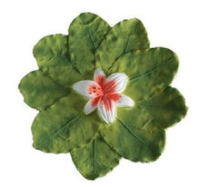 Load image into Gallery viewer, Large/Adult 200 Cubic Inch Lily Water Scattering Bowl Funeral Cremation Urn

