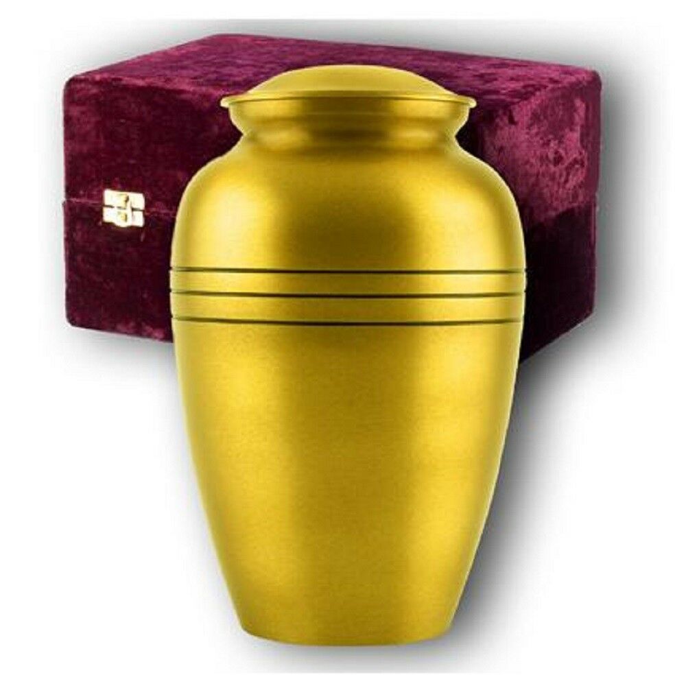 Adult Gold Colored, Brass Funeral Cremation Urn w. Box, Assorted Sizes Available