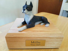 Load image into Gallery viewer, Boston Terrier Pet Funeral Cremation Urn Avail in 3 Different Colors &amp; 4 Sizes
