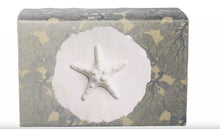 Load image into Gallery viewer, XLarge 300 Cubic Inch Biodegradable Box Funeral Cremation Urn w/Cotton Starfish
