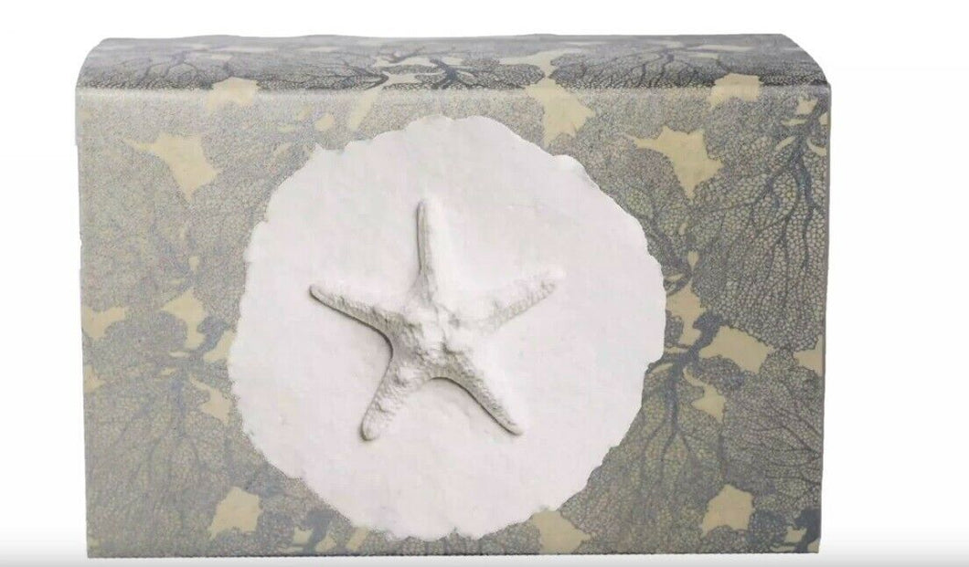 XLarge 300 Cubic Inch Biodegradable Box Funeral Cremation Urn w/Cotton Starfish