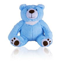 Load image into Gallery viewer, Small/Keepsake 2 Cubic Inches Blue Teddy Bear Funeral Cremation Urn for Ashes
