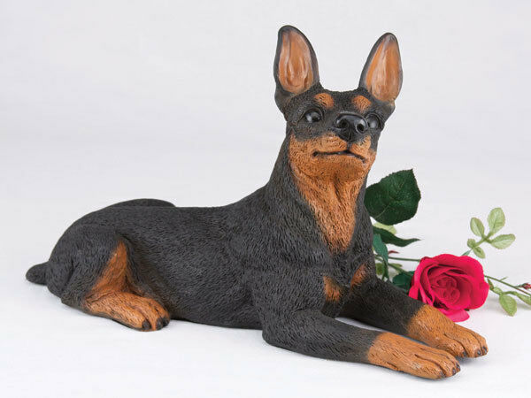 Large 130 Cubic Ins Black & Tan Miniature Pinscher Resin Urn for Ashes,Ears Up
