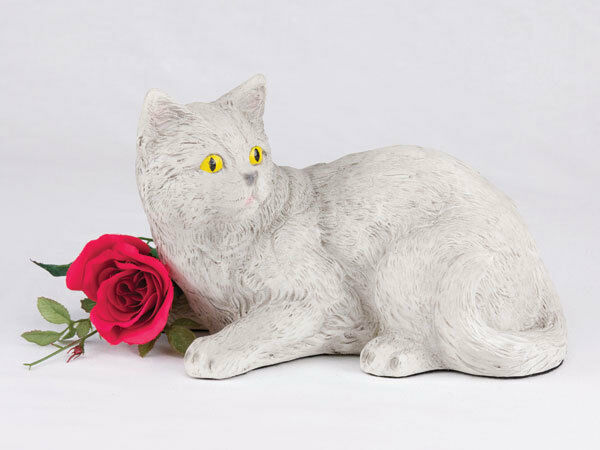 Small/Keepsake 62 Cubic Inches Light Gray Shorthair Cat Resin Urn for Ashes