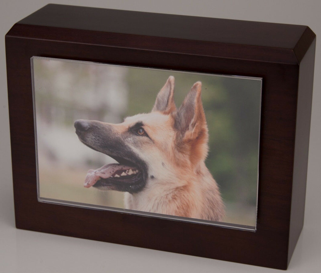 Small 55 Cubic Inches Walnut Pet Photo Urn for Ashes with Engravable Nameplate
