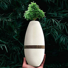 Load image into Gallery viewer, Biotree Planter Cremation Urn Natural Bamboo &amp; Plant Fiber Holds 90 Cubic Inches

