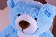 Load image into Gallery viewer, Small/Keepsake 2 Cubic Inches Blue Teddy Bear Funeral Cremation Urn for Ashes

