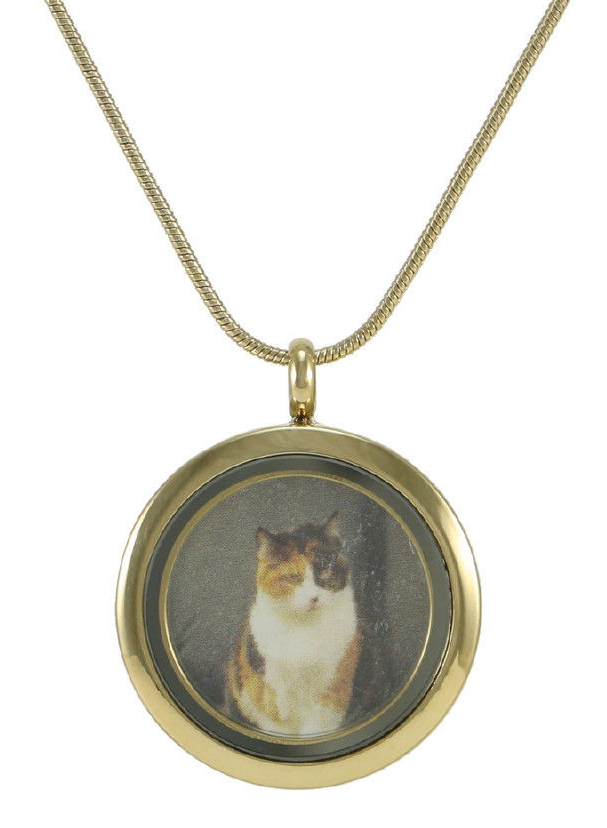 Stainless Steel Round Bronze Pet Photo Pendant Cremation Urn for Ashes