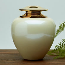 Load image into Gallery viewer, Adult 195 Cubic Inch Brass White Funeral Cremation Urn for Ashes
